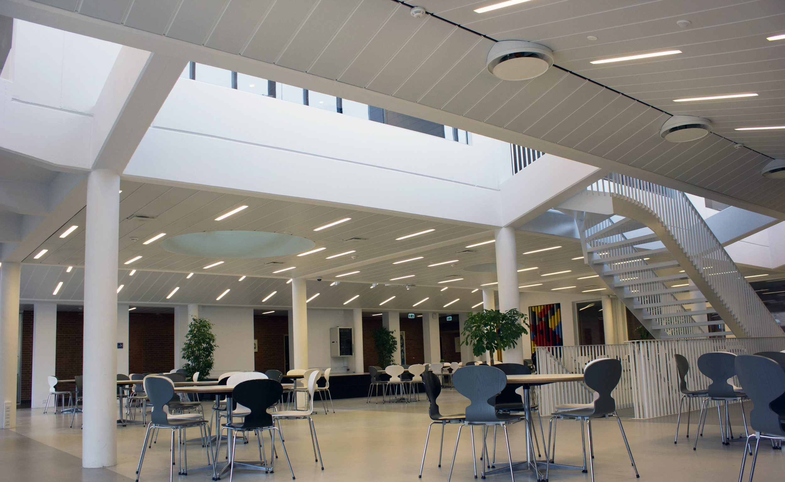 Aarhus Business College, D-300 panel