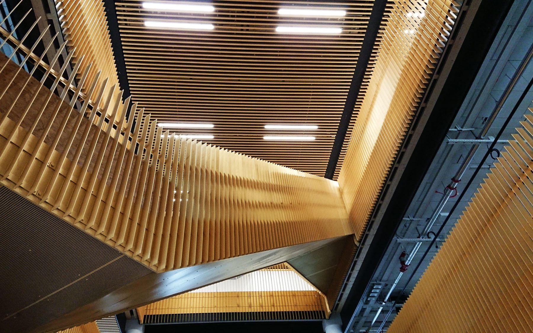DAMPA-INterval-Borgernes-Hus-Odense